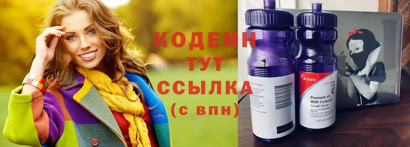 продажа наркотиков  Елизово  Кодеиновый сироп Lean Purple Drank 